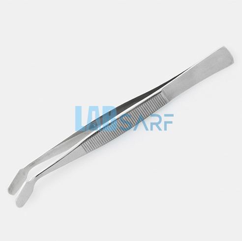 Eğimli Uçlu Pensler